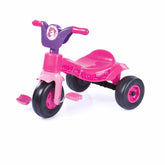2529 LICORNE TRICYCLE (VÉLO)